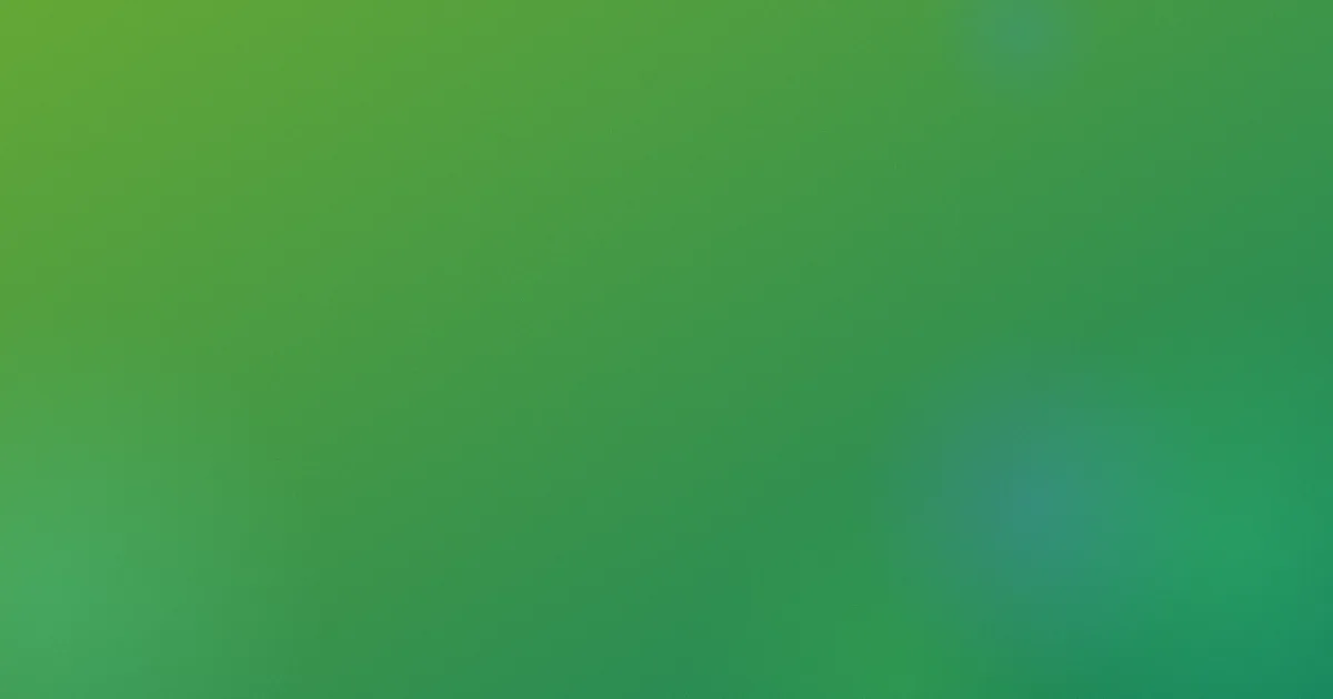 武打电影功夫片怎么用